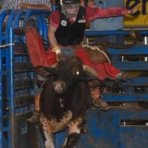 Meet your Posher, Tate